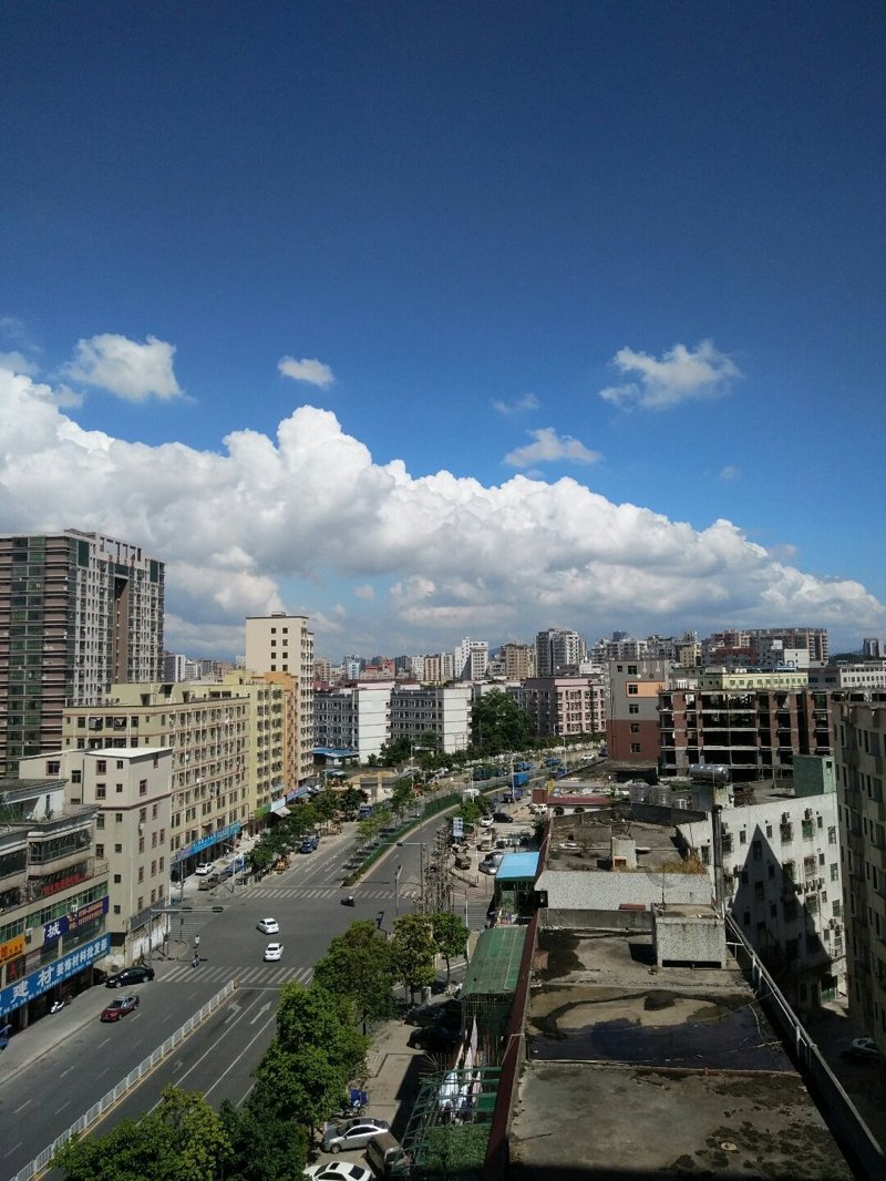 海口龙华区书记调研养殖场：关注产业发展与民生改善